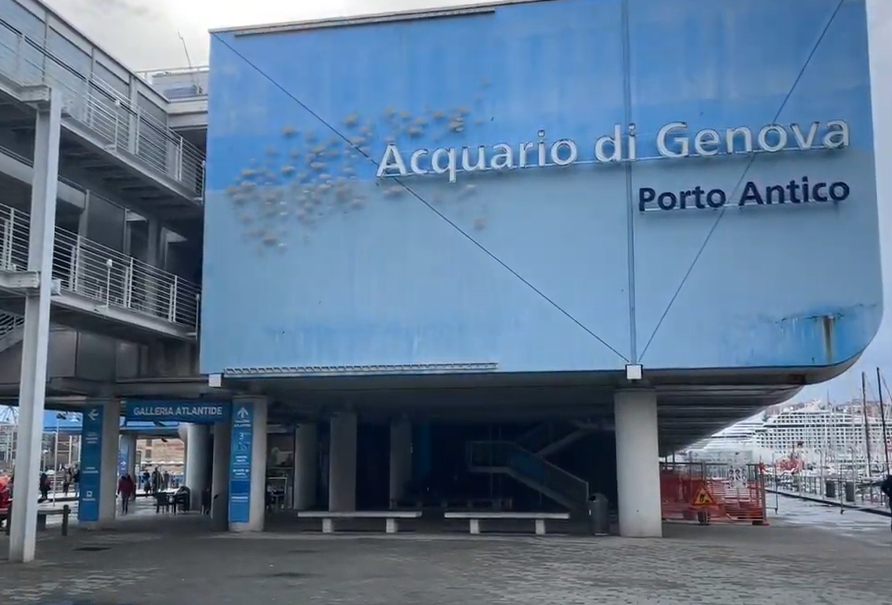 Acqario Genoa